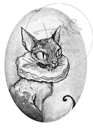 Kissa2 -kortti