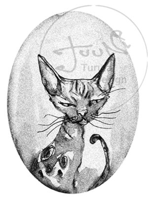 Kissa3 -kortti